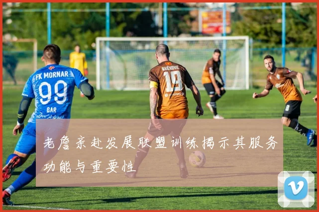 老詹亲赴发展联盟训练揭示其服务功能与重要性