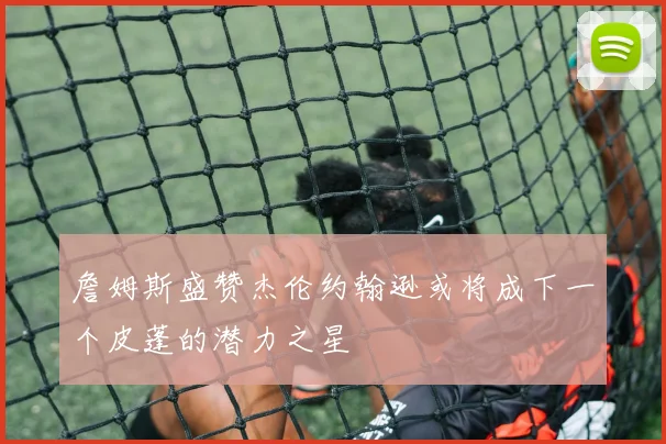 詹姆斯盛赞杰伦约翰逊或将成下一个皮蓬的潜力之星